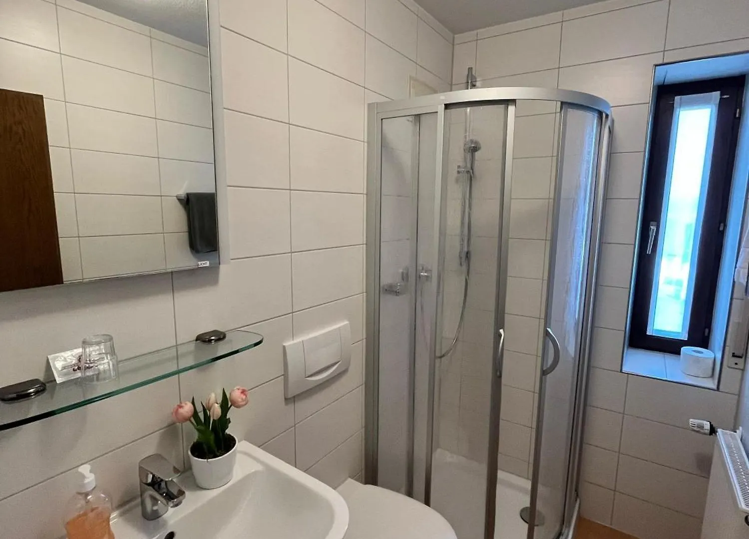 Hotel Annas Gästehaus Hallerndorf
